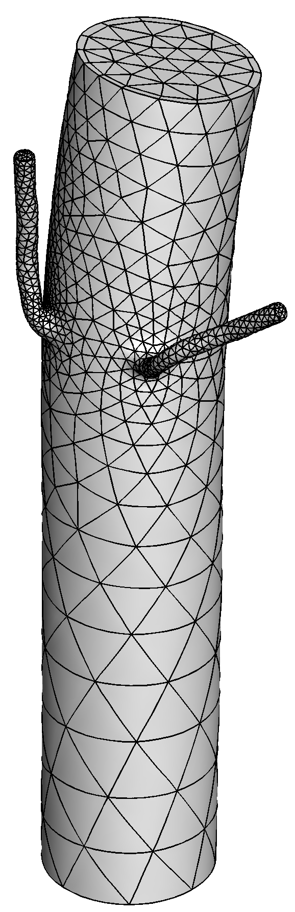 Boundary layer refinement for an intercostal pair of a rabbit aorta, the 3D example used to test the subdivision technique.