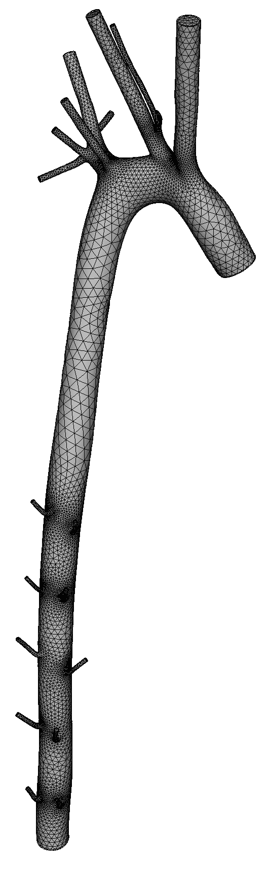 The unstructured tetrahedral mesh of a rabbit aortic arch used as one of the strong-scaling test cases, comparing CG and HDG.